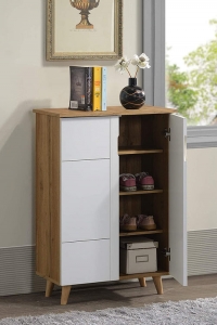 Style Meets Storage: Explore Deckup’s Trendy Shoe Racks Online