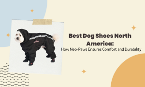 Best Dog Shoes in North America: Why Neo-Paws International Stands Out