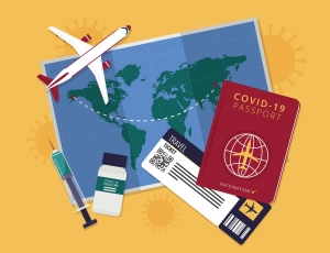 Medical Tourism Market Size Breakdown by Demographics & Services