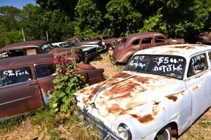 Cash for Junk Cars in Fort Myers, FL: The Ultimate Guide to Selling Your Old Vehicle