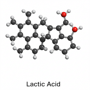 North America Lactic Acid Market Focus on Opportunities, Development Strategy 2027