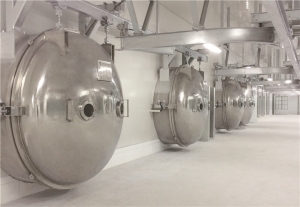Vacuum Freeze Drying Equipment