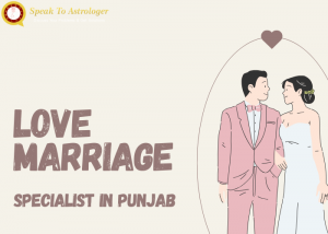 Transform Your Love Life with a Specialist Astrologer in Punjab