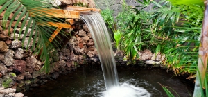 What Are the Best Pond & Fountain Installations in Delaware?