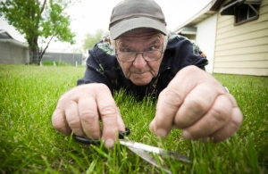 6 Common Mistakes to Avoid When Treating Your Lawn