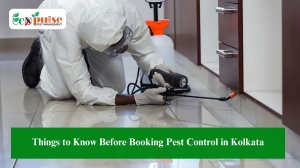 Things to Know Before Booking Pest Control in Kolkata
