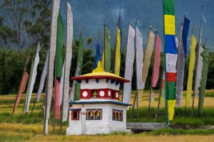 8 Essential Travel Tips for an Unforgettable Bhutan Adventure