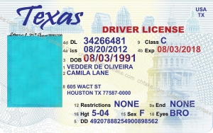 Blank Texas Driver’s License Template – Fully Editable & Printable