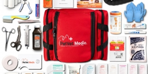 Essential Supplies for Your Pet's First Aid Kit and Why They Matter