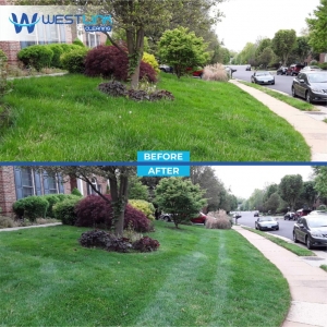Top 5 Lawn Mowing Tools Every Homeowner Should Have