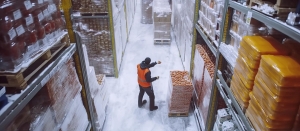 Efficiency in Every Degree: How Blueace Ltd Group is Transforming Temperature-Controlled Infrastructure