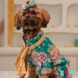 Your Pet Deserves a Wedding Outfit as Cool as Yours