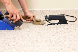 The Best Carpet Repair Products for Home Use in 2025