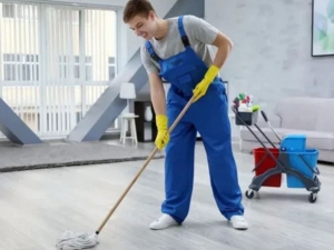 The Secret to a Spotless Home: Discover the Best Shine Cleaning Services in Newport News VA