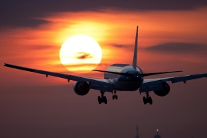 Avelo Airlines SJU Terminal  +1-888-839-0502