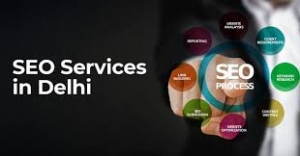 Best SEO Company in Delhi 