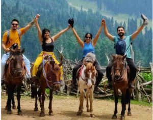 Discover Paradise: Unforgettable Journeys with Kashmir Tour Packages