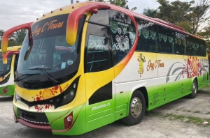 Plan Easy Group Outings with Sewa Van Dengan Driver Services