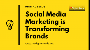 From Conversations to Conversions: How Social Media Marketing is Revolutionizing Brand Growth