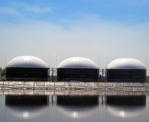 Double Membrane Biogas Holder