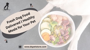 Fresh Dog Food Delivered | Healthy Meals for Your Pet