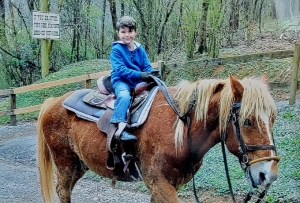 horse riding Pigeon Forge TN