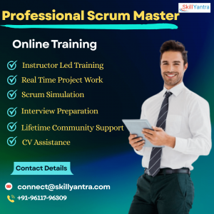 Master Your Career with Scrum Master Training Online in India