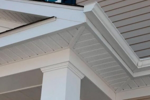 How Gutters Prevent Water Damage to Your Home