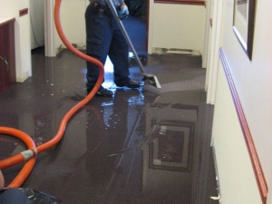 How to Choose the Right Water Damage Restoration 