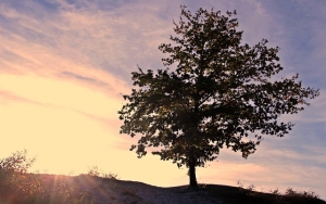 Embracing Abundance: A Self-Discovery Journey