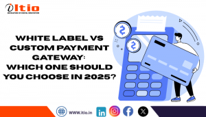White Label vs Custom Payment Gateway: A Deep Comparison