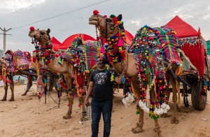 How to Visit the Pushkar Camel Fair 2025