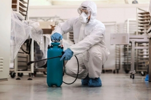 Pest Control Services: Top Ant Control Specialists to Keep Your Home Safe