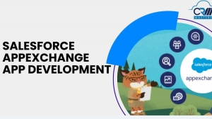 Salesforce AppExchange App Development Guide
