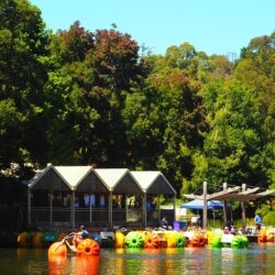 Expert Airbnb & Accommodation Management in Yarra Valley & Dandenong Ranges