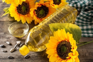 Panorama y Perspectivas del Mercado de Aceite de Girasol en Argentina