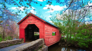 Exploring Baker Park in Frederick, MD: A Vibrant Community Hub