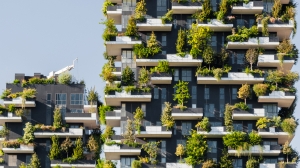 Vertical Garden Construction Market Poised for Growth Due to Urban Greening Initiatives