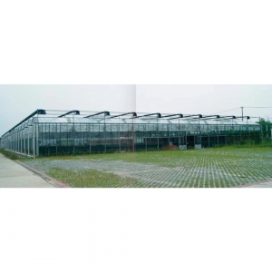 Diffuse Glass (Solar Energy Greenhouse Glass)