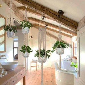 Sleek Planters for Contemporary Interiors