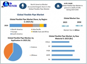 Flexible PipeMarket Business Strategy, Key Opportunities and Analysis