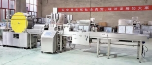 Spring Rolls Manufacturing Plant Report 2025: Unit Setup, Cost and Requirements, Project Economics