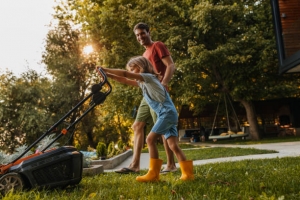 7 Professional Lawn Care Tips to Beat the Heat in Chichester