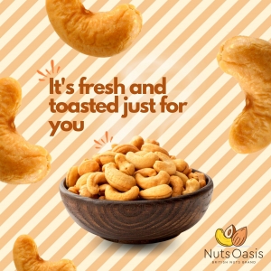 Indulgent Snacking Made Easy: Discover Premium Treats at Nuts Oasis