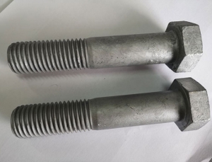 Heavy Hex Bolt 20