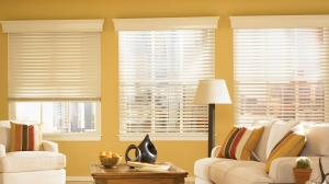 Matching Blinds with Your Interior Décor: Tips for Residents