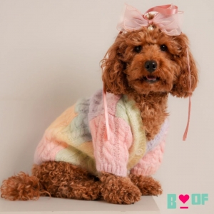 Dog Clothes That Blend Style, Comfort & Personality