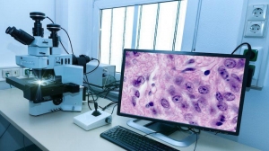 Digital Pathology Market: Transforming Diagnostics with Precision and Speed