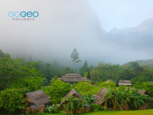 What Makes Wayanad the Perfect Getaway? Find Out with These Handpicked Tour Packages