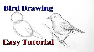 Art tutorials for beginners